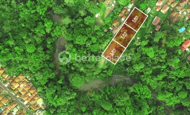 Prime Leasehold Land in Buwit, Tabanan: 500 sqm with Stunning Natural Views