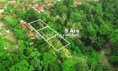Prime Leasehold Land in Buwit, Tabanan: 500 sqm with Stunning Natural Views