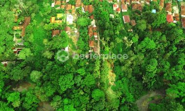 Prime Leasehold Land in Buwit, Tabanan: 500 sqm with Stunning Natural Views