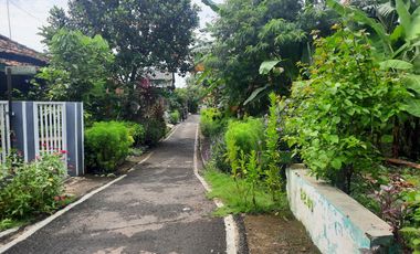 TANAH KEBON MURAH DEKAT PASAR WIRADESA PEKALONGAN