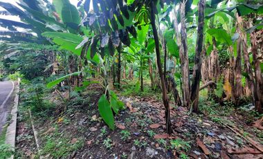 TANAH KEBON MURAH DEKAT PASAR WIRADESA PEKALONGAN