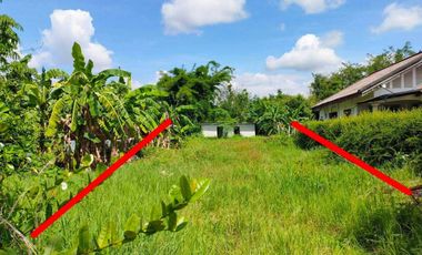 land for sale in Rong Wua Daeng, San Kamphaeng District, Chiang Mai Province.