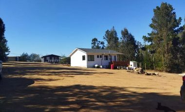 Venta Parcela, Fundo La Petrilla, Algarrobo