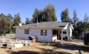 Venta Parcela, Fundo La Petrilla, Algarrobo