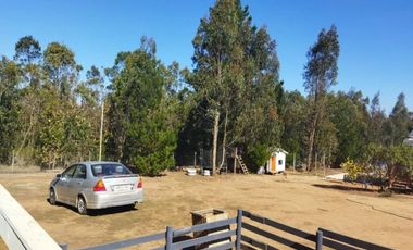 Venta Parcela, Fundo La Petrilla, Algarrobo