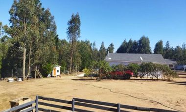 Venta Parcela, Fundo La Petrilla, Algarrobo