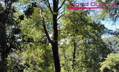 VENDO HERMOSAS PARCELAS CON MAJESTUOSO PAISAJE CORDILLERANO