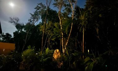 Casa con jardín y alberca privada, en venta, Avenida Coba, Tulum