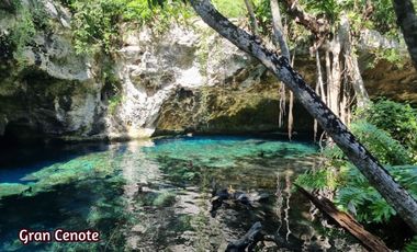 Casa con jardín y alberca privada, en venta, Avenida Coba, Tulum