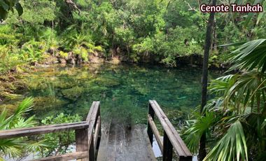 Casa con jardín y alberca privada, en venta, Avenida Coba, Tulum