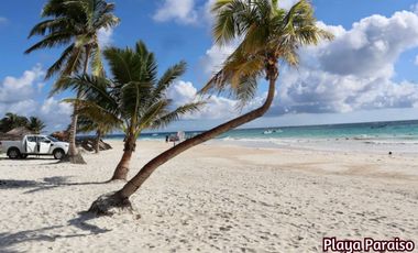 Casa con jardín y alberca privada, en venta, Avenida Coba, Tulum