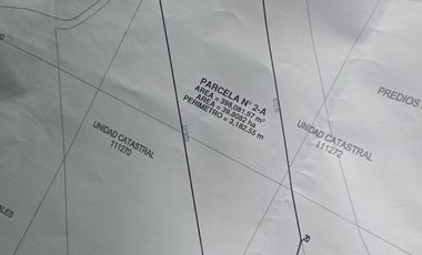 TERRENO EN VENTA EN UCAYALI