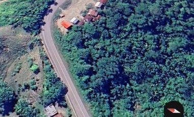 TERRENO EN VENTA EN UCAYALI