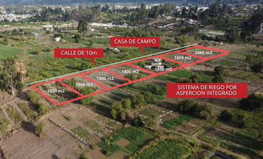 LOTES DE VENTA EN CEVALLOS