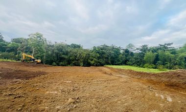 TERRENO EN VENTA, PEDRO VICENTE MALDONADO