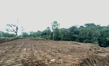 TERRENO EN VENTA, PEDRO VICENTE MALDONADO