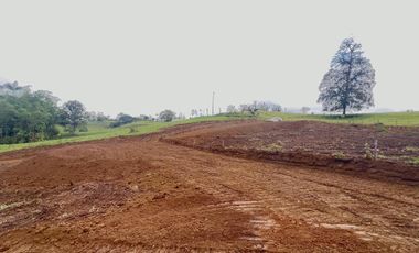 TERRENO EN VENTA, PEDRO VICENTE MALDONADO