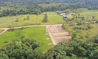 TERRENO EN VENTA, PEDRO VICENTE MALDONADO