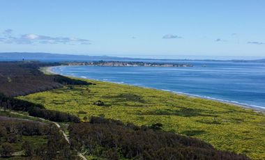 Lotes en Carelmapu Mar Brava con borde de mar - Maullín - Región de Los Lagos