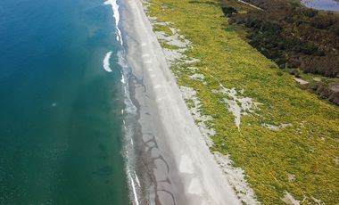 Lotes en Carelmapu Mar Brava con borde de mar - Maullín - Región de Los Lagos