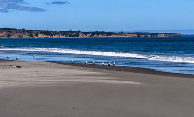 Lotes en Carelmapu Mar Brava con borde de mar - Maullín - Región de Los Lagos