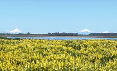 Lotes en Carelmapu Mar Brava con borde de mar - Maullín - Región de Los Lagos