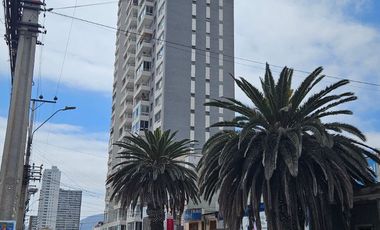 Vendo depto. 3 dormitorios Edificio Bulnes Labbé, Sector Centro Sur
