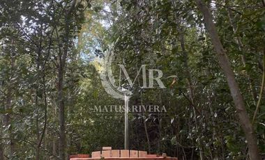 Arriendo Diario, Casa Para 7 Personas en Sector Carén, Curarrehue