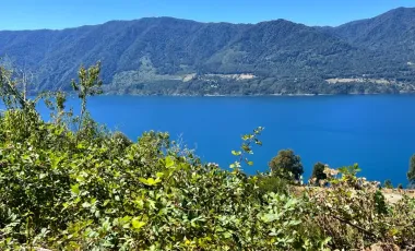 Parcela con Vista al Lago Loteo Quebrada Riñihue