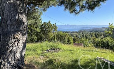 Terreno en Pumol _ Futrono