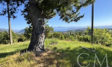 Terreno en Pumol _ Futrono