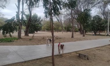 AMPLIA CASA EN VENTA O ALQUILER – URB. MIRAFLORES CASTILLA -PIURA