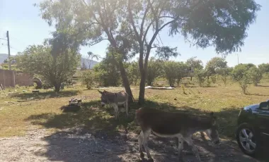 VENTA DE TERRENO EN TLATIZAPAN, COL. CENTRO