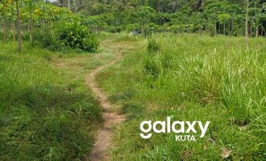 DIJUAL TANAH TANAH DATAR DI GALUH PEKUTATAN NEGARA JEMBRANA, BALI
