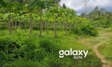 DIJUAL TANAH TANAH DATAR DI GALUH PEKUTATAN NEGARA JEMBRANA, BALI