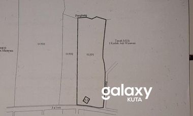 DIJUAL TANAH TANAH DATAR DI GALUH PEKUTATAN NEGARA JEMBRANA, BALI