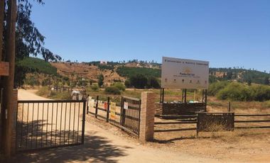 PARCELA DE 5000m2 - PIEDRA DEL SOL, PAREDONES, REGIÓN DE O´HIGGINS