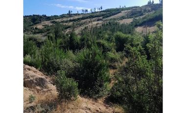 PARCELA DE 5000m2 - PIEDRA DEL SOL, PAREDONES, REGIÓN DE O´HIGGINS