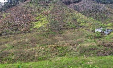 TE VENDO EXTENSA FINCA EN SANTO DOMINGO ANTIOQUIA.