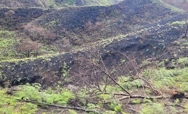 TE VENDO EXTENSA FINCA EN SANTO DOMINGO ANTIOQUIA.