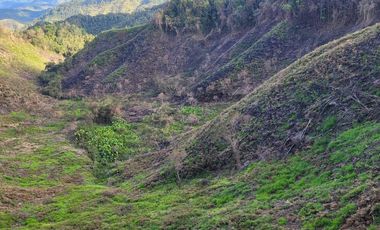 TE VENDO EXTENSA FINCA EN SANTO DOMINGO ANTIOQUIA.