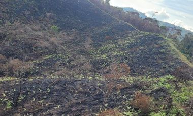TE VENDO EXTENSA FINCA EN SANTO DOMINGO ANTIOQUIA.