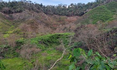 TE VENDO EXTENSA FINCA EN SANTO DOMINGO ANTIOQUIA.