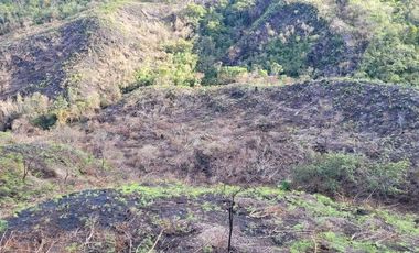 TE VENDO EXTENSA FINCA EN SANTO DOMINGO ANTIOQUIA.