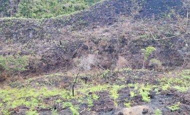 TE VENDO EXTENSA FINCA EN SANTO DOMINGO ANTIOQUIA.