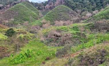 TE VENDO EXTENSA FINCA EN SANTO DOMINGO ANTIOQUIA.