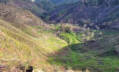 TE VENDO EXTENSA FINCA EN SANTO DOMINGO ANTIOQUIA.