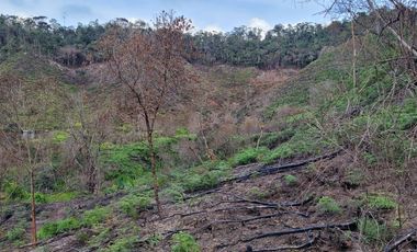 TE VENDO EXTENSA FINCA EN SANTO DOMINGO ANTIOQUIA.