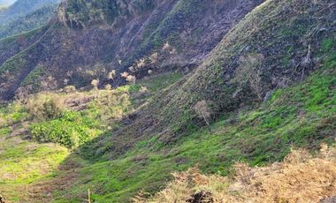 TE VENDO EXTENSA FINCA EN SANTO DOMINGO ANTIOQUIA.