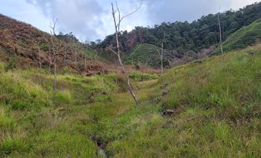 TE VENDO EXTENSA FINCA EN SANTO DOMINGO ANTIOQUIA.